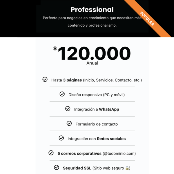 Plan professional 07.04.25 Plan Professional